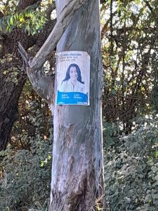 Lee más sobre el artículo Pará Carolina, con los árboles NO